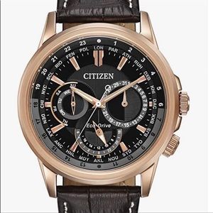 Citizen Eco-Drive Calendrier Quartz Mens Watch, Stainless Steel w/ Leather strap